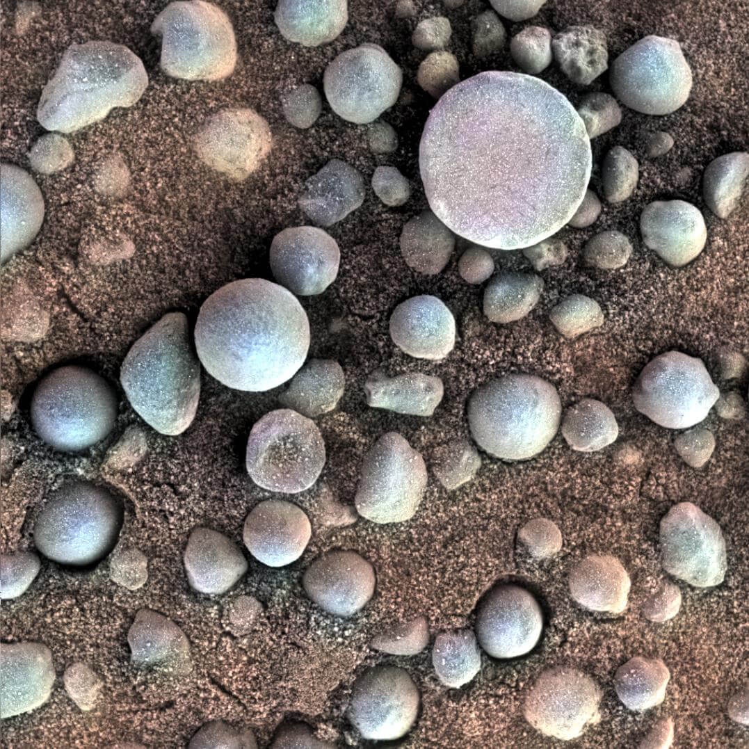 صورة مجهرية تم الحصول عليها عن طريق المريخ