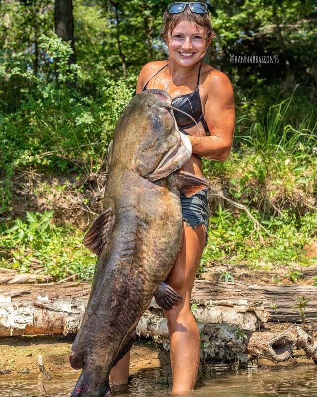 هانا بارون من ألاباما تصيد سمك السلور الكبير بيديها العارية