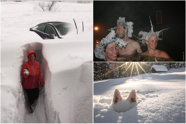 صور مضحكة من البلدان الشمالية والباردة