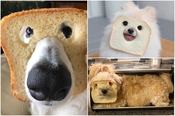 bread-masks